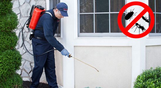 Niğde Böcek İlaçlama böcek ilaçlama ve haşere kontrolü — ilaclama-tr.com